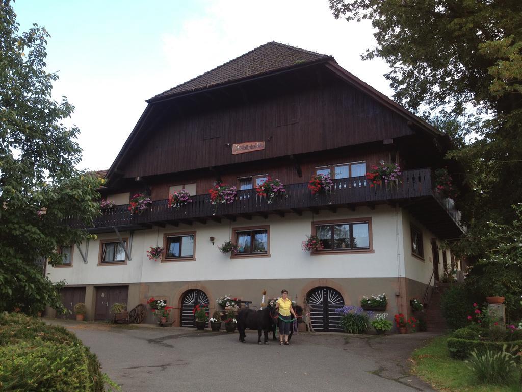 Mattenhof Zell am Harmersbach Exterior photo